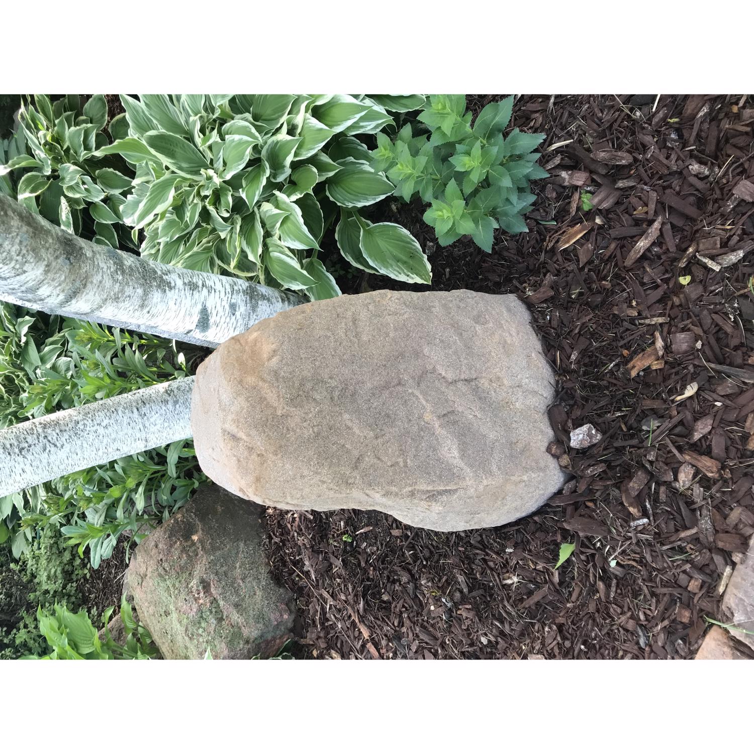 image-4