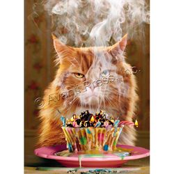 Avanti Birthday Cupcake Birthday Card Paper 2 pc