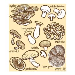 wet-it! Cotton Super Absorbent Cloths 1 pk