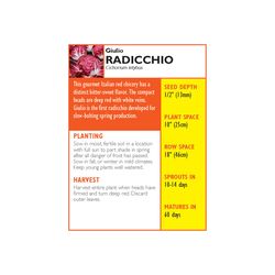 Lake Valley Seed Radicchio Seeds 5 pk