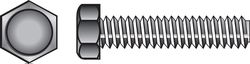 HILLMAN 1/2 in. D X 2 in. L Zinc Plated Steel Hex Tap Bolt 50 pk