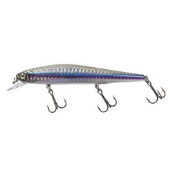 Lunkerhunt Fishing Lure