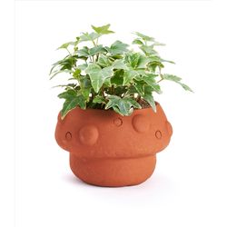 Matr Boomie 3.5 in. H X 4.5 in. W X 4.5 in. D Clay Mushroom Planter Terracotta