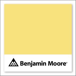 Benjamin Moore Lightning Bug 340