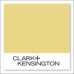 Clark+Kensington Eye Catching 21C-4