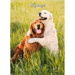 Avanti Press Golden Retriever Friends Birthday Card Paper 2 pc