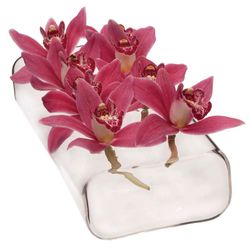 Chive Hudson 2 2 in. H X 8 in. L Clear Glass Rectangle 8-Hole Flute Bud Vase