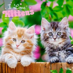 BrownTrout Publishers 2026 Square Flap .108 in. H X 12 in. L Multicolored Paper Kittens I Love Calen