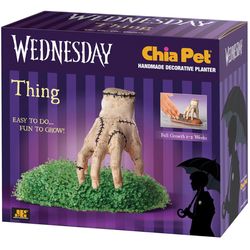 Chia Pet Wednesday Thing Planter 1 pk