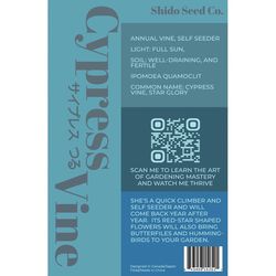 Chive Shido Seed Co. Cypressvine Star Glory Seeds 1 pk