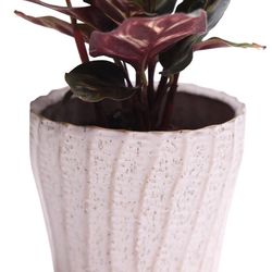 Chive 4 in. H X 4 in. D Ceramic Katakana Planter White