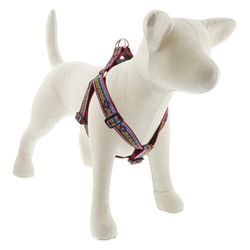 LupinePet Original Designs Multicolor El Paso Nylon Dog Harness