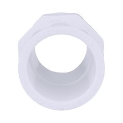 Charlotte Pipe Schedule 40 1-1/4 in. MPT X 1-1/2 in. D Slip PVC Pipe Adapter 1 pk
