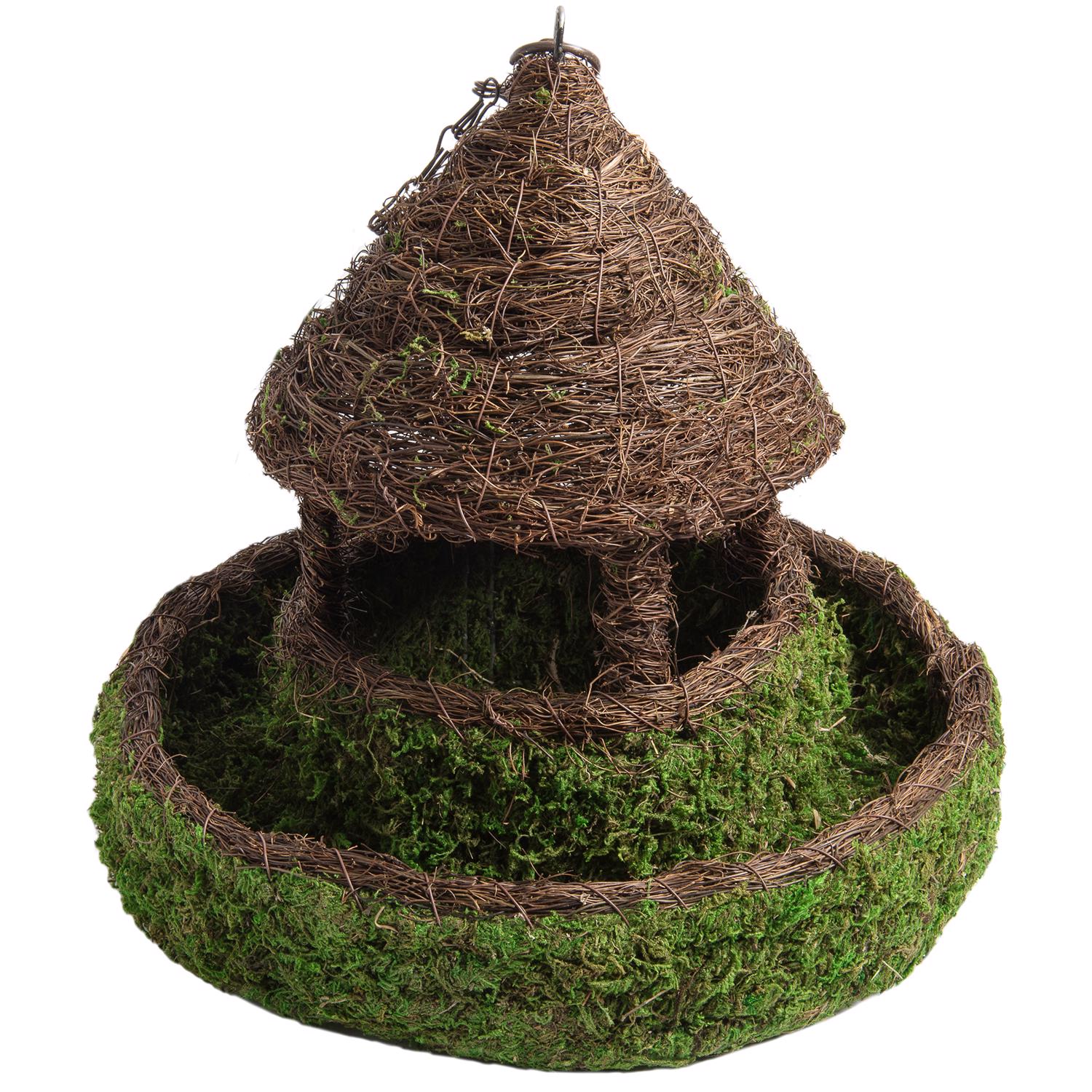 image-2