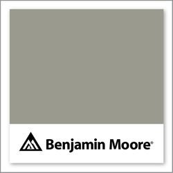 Benjamin Moore Arctic Shadows 1559