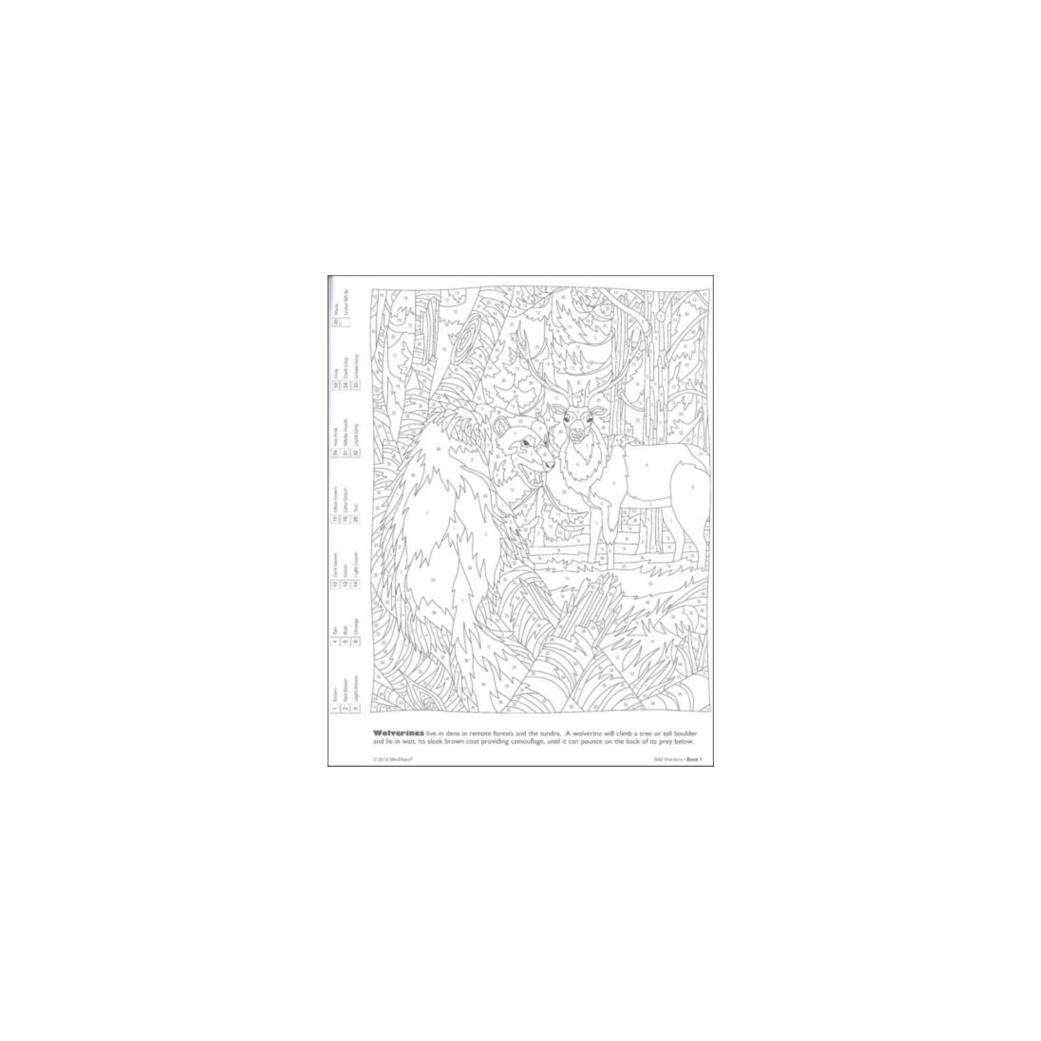 image-5