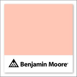 Benjamin Moore Salmon Peach 2013-50