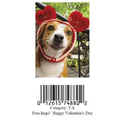 Avanti Press Greeting Cards