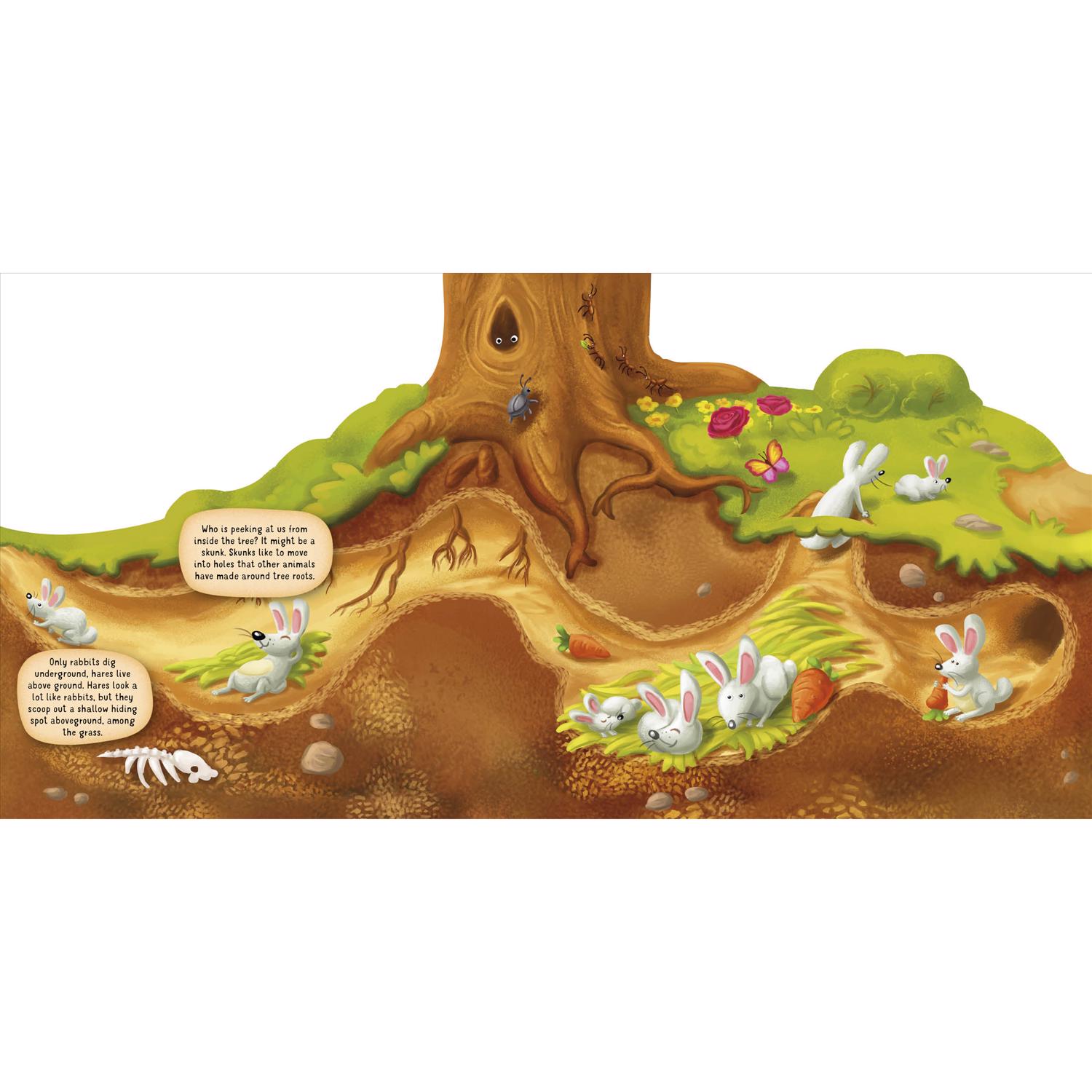 image-3