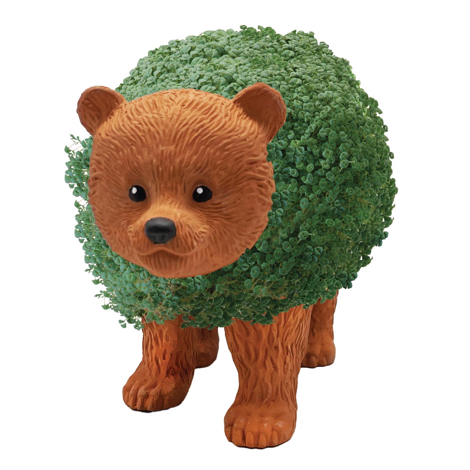 image-5