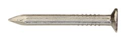 Ace 8D 2-1/2 in. Masonry Bright Steel Nail Flat Head 1 lb