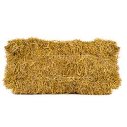 Retailer Sourced Bale Of Hay - 2nd Cut