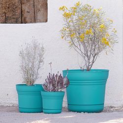 Bloem Saturn 12.75 in. H X 14.5 in. W Resin Traditional Planter Bermuda Teal