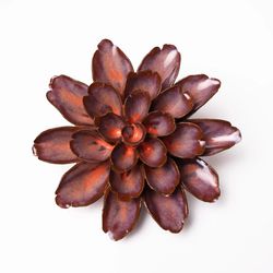Chive Japan 2 in. H X 4.5 in. L Glazed Rust Ceramic Daisy Wall Flower