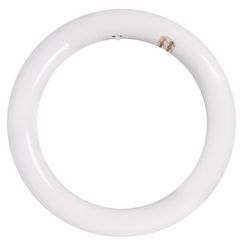 Feit T9 4-Pin LED Tube Light White 30 Watt Equivalence 1 pk