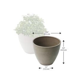 Algreen 9 in. H X 5.3 in. W X 10 in. D Plastic Curve Planter Taupe