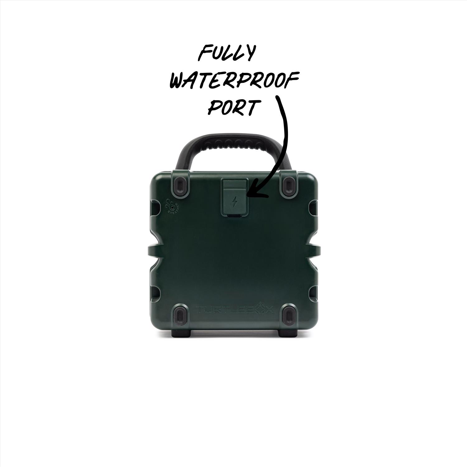 image-3