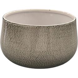Robert Allen 4 in. D Steel Mini Bella Bowl Planter Dusted Pearl