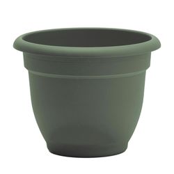 Bloem Ariana 8.5 in. H X 11 in. W X 10 in. D Plastic Traditional Planter Basil