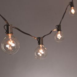 Gerson Everlasting Glow LED String Light Set Clear 12 in. 20 lights