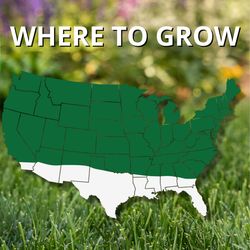 Jonathan Green Pasture Mixed Sun or Shade Pasture Seed 50 lb