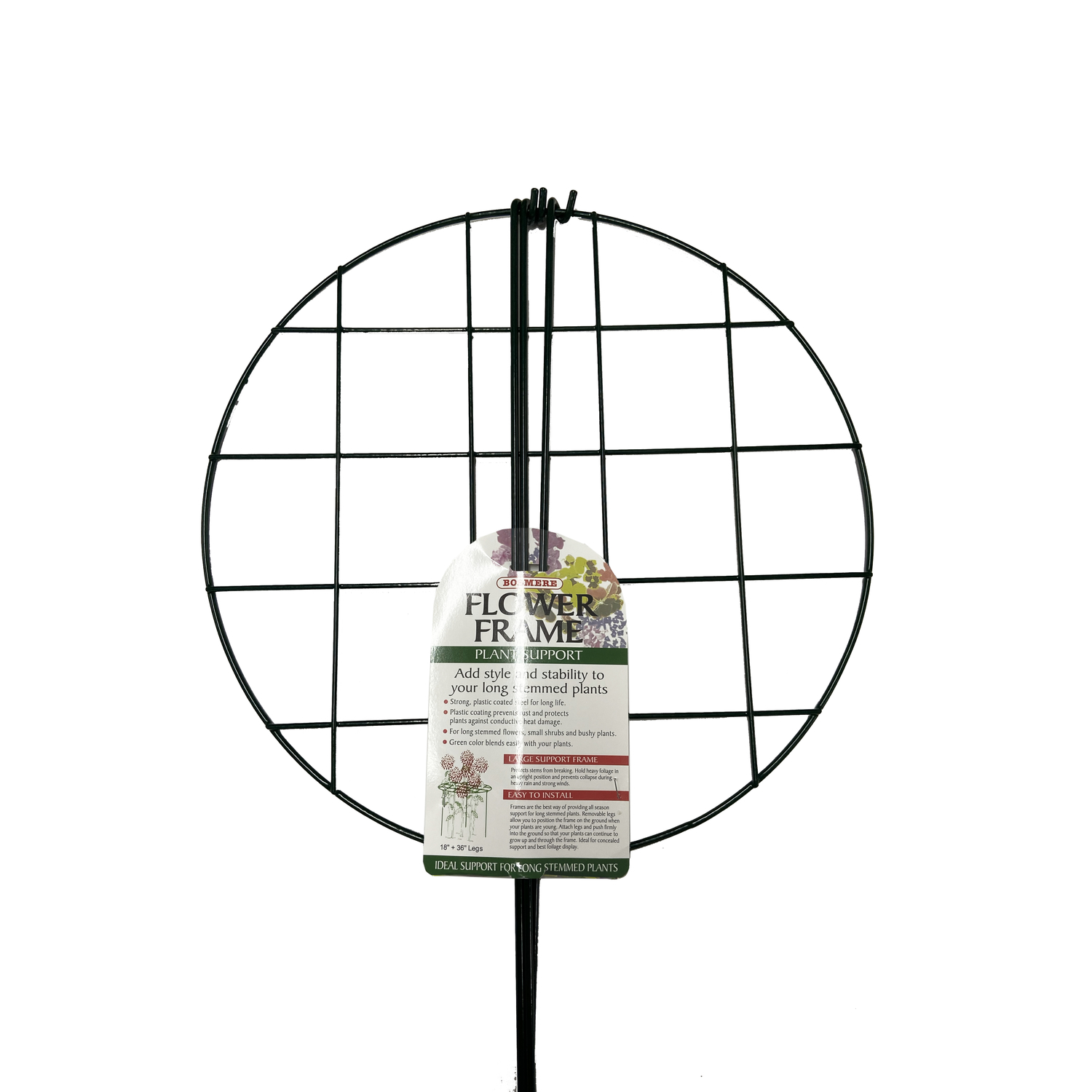 image-1