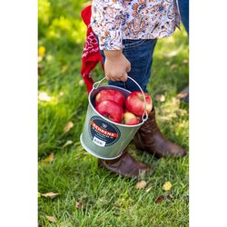 Behrens 5 qt Galvanized Pail Silver