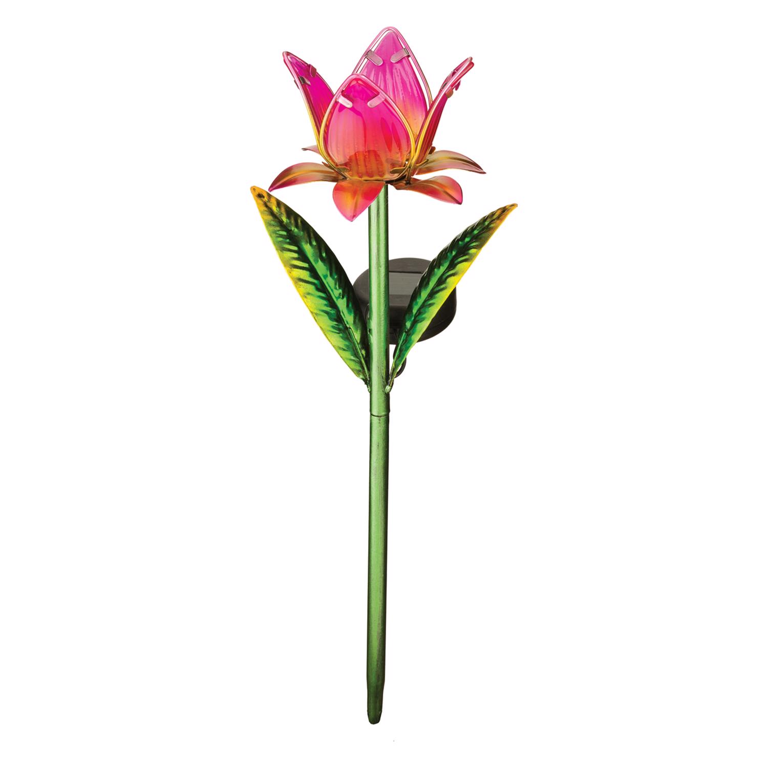 image-3