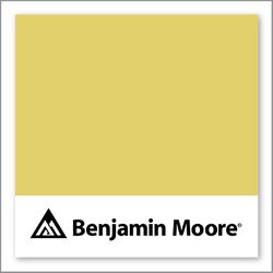 Benjamin Moore Yellow Tone 370