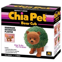 Chia Pet Bear Cub Decorative Planter Clay 1 pk
