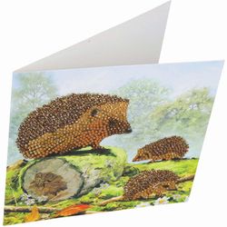 Crystal Art Craft Buddy Happy Hedgehogs Craft Card Kit Multicolored