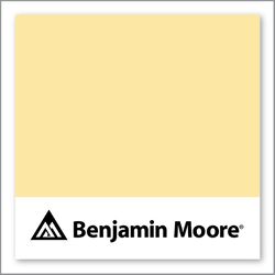 Benjamin Moore Squish-Squash 311