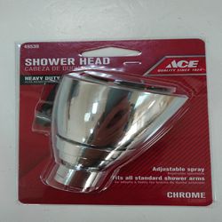 Ace Chrome Brass 6 settings Adjustable Showerhead 1.8 gpm
