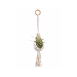 Meesh Drops Natural Macrame 26 in. H Plant Hanger 1 pk
