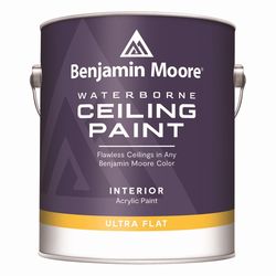 Benjamin Moore Flat Ceiling Paint Interior 1 gal