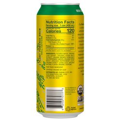 Yerba Madre Beverage 15.5 fl. oz. 1 pk