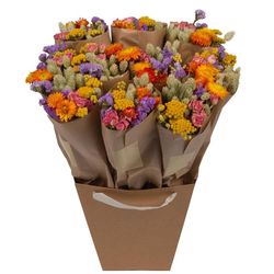 Dutch Flower House Market More Assorted Mix Bouquet Dried Flowers