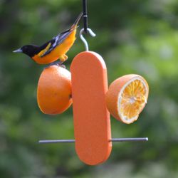 Songbird Essentials Oriole Plastic Double Orange Hanging Bird Feeder