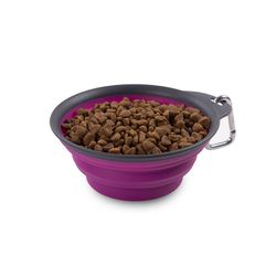 Dexas Pink Rubber 1 cups Pet Travel Feeder For All Pets