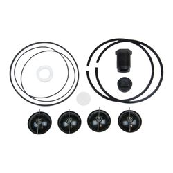 Fill-Rite Various Transfer Pump Repair Kit